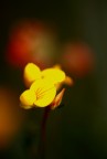 No Regole, solo Colori No Regole, solo Colori