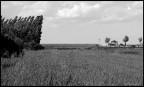 Nuvole e vento Nuvole e vento