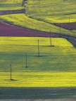 Across the colours Across the colours