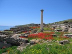 rovine di un'antica citt� fenicia nella penisola del Sinis