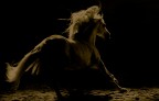 andalusian dream andalusian dream