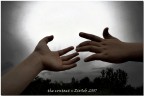the contact