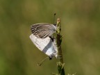 lo facciamo alla luce del sole?? lo facciamo alla luce del sole??