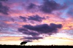 cielo di casa cielo di casa
