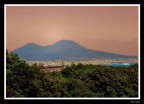 E questa siepe, che da tanta parte, dell'ultimo orizzonte il E questa siepe, che da tanta parte, dell'ultimo orizzonte il