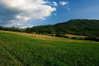 collina landscape collina landscape