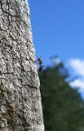 free climbing free climbing
