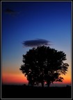 Nasce Venere...nella sera Nasce Venere...nella sera