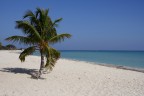 Spiaggia a Cuba.
Critiche (anche le peggiori) molto gradite - mi aiutano a migliorare
canon eos 350d con 24-105 f4
F4 1/12000 100 iso