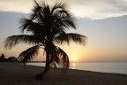 Spiaggia a Cuba.
Critiche (anche le peggiori) molto gradite - mi aiutano a migliorare
canon eos 350d con 24-105 f4
F11 1/60 100 iso