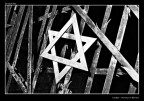 Dachao - David Dachao - David
