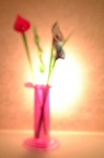 fiori di vetro fiori di vetro
