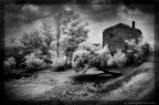 Bianconero ricavato da foto con filtro infrarosso.
Obiettivo 28mm f/10 - 100 iso e 1/200" circa....