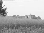 laicità? laicità?