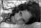 Dreams Dreams