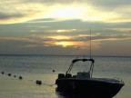 boe al tramonto boe al tramonto