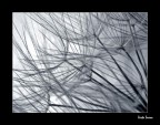 Instabil_Mente Instabil_Mente