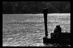 - II - - II -