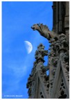 duomo... duomo...