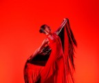 Danza #5... (Red Passion)