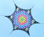 Il fiore