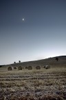In una notte di luna In una notte di luna