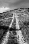 la Via... la Via...