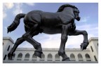 Il cavallo Il cavallo