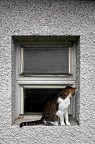 curiosit�