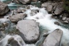 le forme dell'acqua le forme dell'acqua