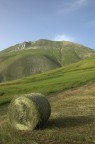 Monte vettore Monte vettore