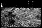 RIP RIP
