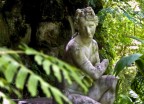 La Venere della Reggia La Venere della Reggia