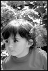Il primo anno Il primo anno