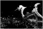 Doggi :) Doggi :)