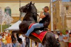 Cavaliere in Esibizione prima della Festa. 
A parte le gambe del cavallo Tagliate penso per il resto sia OK
Mi ha colto alla Sprovvista... 
Consigli e critiche ben Accetti