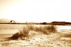 le saline le saline