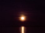 GOOD NIGHT GOOD NIGHT