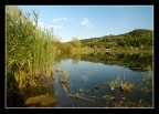 Stato d animo Stato d animo