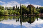 ninfa ninfa