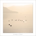 la strada per il Paradiso