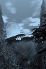 La Luna La Luna