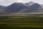 Piana-di-Castelluccio---NF5I3610 Piana-di-Castelluccio---NF5I3610