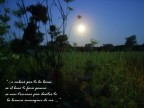 Luna per Te Luna per Te