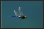 In flight In flight
