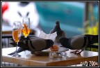 Aperitivo tra amici Aperitivo tra amici