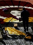 infiorata 2007 infiorata 2007