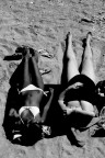 black and white black and white