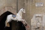 ...horse ...horse