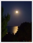 Blue moon Blue moon